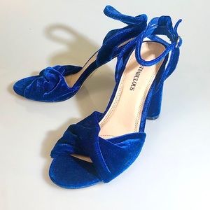 NWOT Blue Velvet Heels